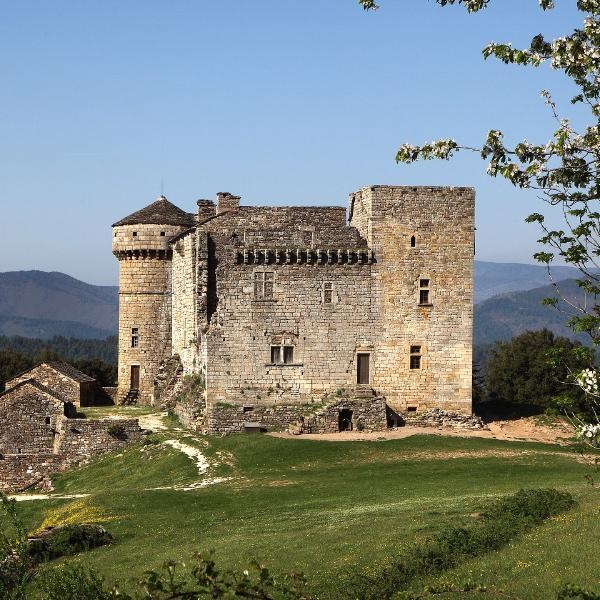 Le château d'Aujac au printemps.