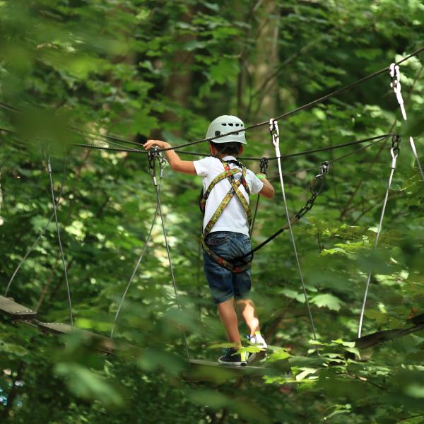 Pont suspendu sur parcours d'accrobranche pour enfants
