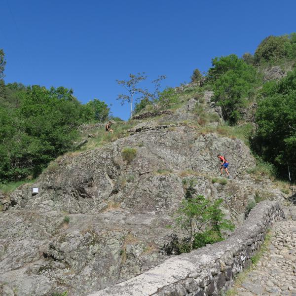 Vue d'un chemin du trail de la chaussée des géants.