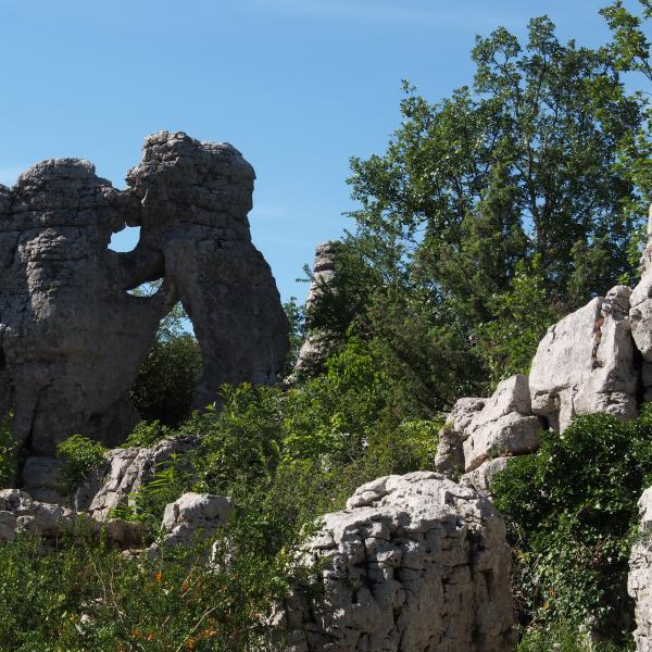 Formation rocheuse naturelle dans le Bois de Païolive près des Vans en Ardèche, France.