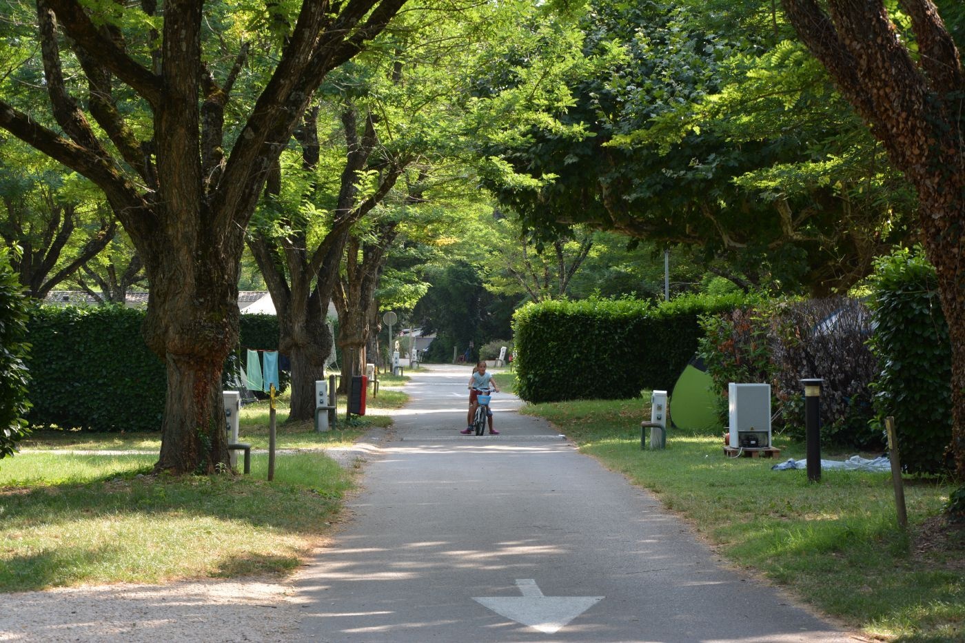 Allée ombragée du camping