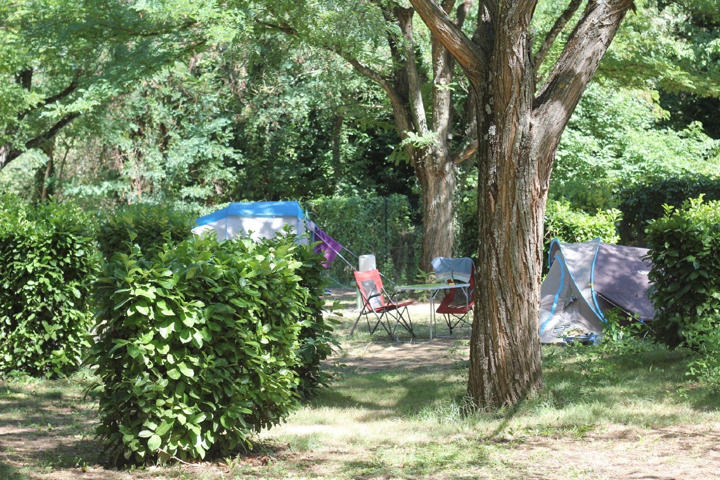 Zone de camping sous les arbres