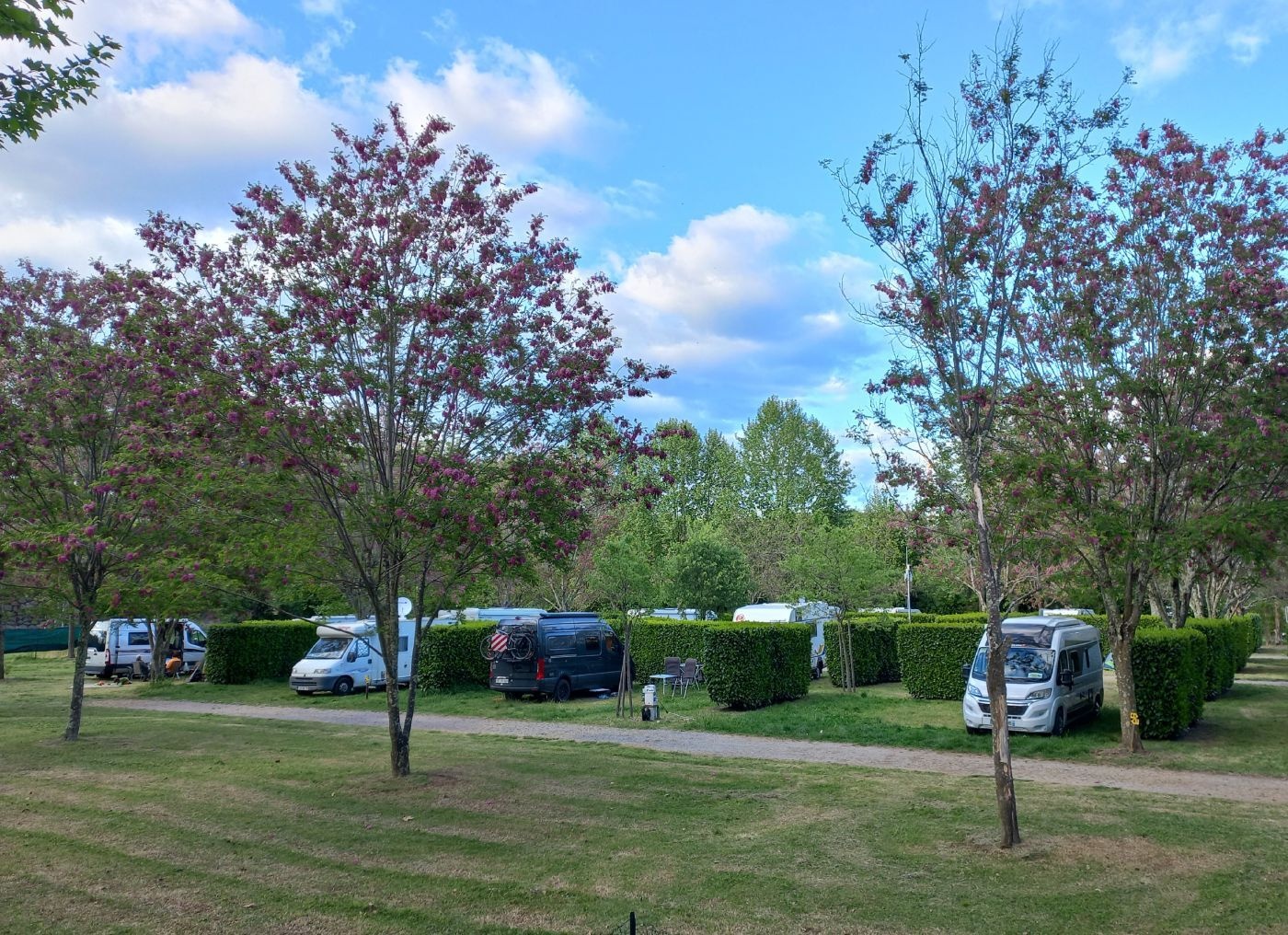 Vue panoramique sur le camping